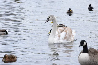 DSC_0518 (Large).JPG